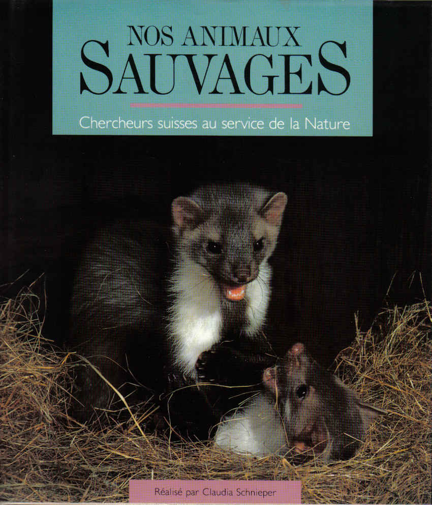 animaux sauvages